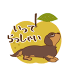 ダックス大好き【秋】チョコタン（個別スタンプ：14）