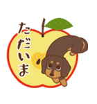ダックス大好き【秋】チョコタン（個別スタンプ：15）
