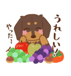 ダックス大好き【秋】チョコタン（個別スタンプ：17）