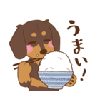 ダックス大好き【秋】チョコタン（個別スタンプ：20）