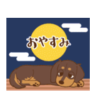 ダックス大好き【秋】チョコタン（個別スタンプ：31）