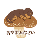 ダックス大好き【秋】チョコタン（個別スタンプ：32）
