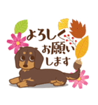 ダックス大好き【秋】チョコタン（個別スタンプ：33）