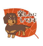 ダックス大好き【秋】チョコタン（個別スタンプ：40）