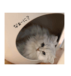 もちたみ2（個別スタンプ：30）