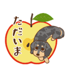 ダックス大好き【秋】シルバー（個別スタンプ：15）