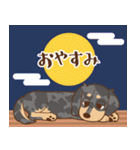 ダックス大好き【秋】シルバー（個別スタンプ：31）