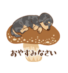 ダックス大好き【秋】シルバー（個別スタンプ：32）