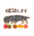 ダックス大好き【秋】シルバー（個別スタンプ：35）