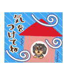 ダックス大好き【秋】シルバー（個別スタンプ：36）