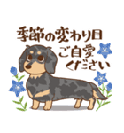 ダックス大好き【秋】シルバー（個別スタンプ：37）
