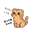 キュルキュルお目々の猫ちゃんスタンプ（個別スタンプ：2）