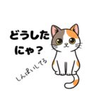 キュルキュルお目々の猫ちゃんスタンプ（個別スタンプ：3）
