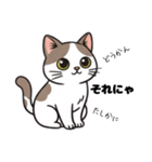 キュルキュルお目々の猫ちゃんスタンプ（個別スタンプ：4）