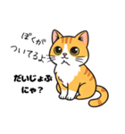 キュルキュルお目々の猫ちゃんスタンプ（個別スタンプ：6）