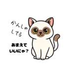 キュルキュルお目々の猫ちゃんスタンプ（個別スタンプ：7）