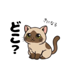 キュルキュルお目々の猫ちゃんスタンプ（個別スタンプ：8）