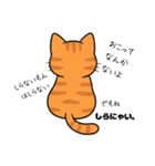 キュルキュルお目々の猫ちゃんスタンプ（個別スタンプ：10）
