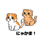 キュルキュルお目々の猫ちゃんスタンプ（個別スタンプ：14）