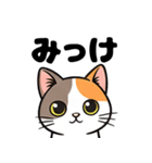 キュルキュルお目々の猫ちゃんスタンプ（個別スタンプ：15）