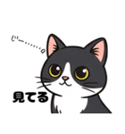 キュルキュルお目々の猫ちゃんスタンプ（個別スタンプ：16）