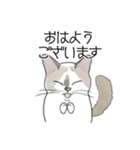 ねこのぷーちゃん スタンプ（個別スタンプ：1）
