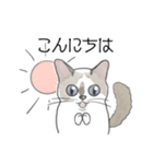 ねこのぷーちゃん スタンプ（個別スタンプ：2）