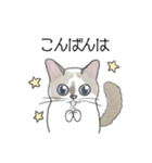 ねこのぷーちゃん スタンプ（個別スタンプ：3）