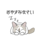 ねこのぷーちゃん スタンプ（個別スタンプ：4）
