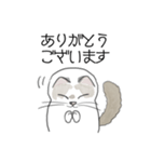 ねこのぷーちゃん スタンプ（個別スタンプ：5）