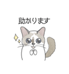 ねこのぷーちゃん スタンプ（個別スタンプ：7）