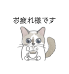 ねこのぷーちゃん スタンプ（個別スタンプ：13）