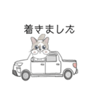 ねこのぷーちゃん スタンプ（個別スタンプ：16）