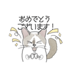 ねこのぷーちゃん スタンプ（個別スタンプ：18）