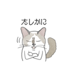 ねこのぷーちゃん スタンプ（個別スタンプ：23）