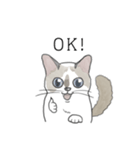 ねこのぷーちゃん スタンプ（個別スタンプ：25）