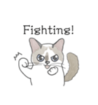 ねこのぷーちゃん スタンプ（個別スタンプ：29）