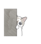 ねこのぷーちゃん スタンプ（個別スタンプ：31）