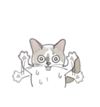 ねこのぷーちゃん スタンプ（個別スタンプ：32）