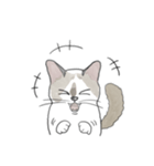 ねこのぷーちゃん スタンプ（個別スタンプ：34）