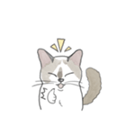 ねこのぷーちゃん スタンプ（個別スタンプ：35）