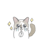 ねこのぷーちゃん スタンプ（個別スタンプ：36）
