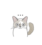 ねこのぷーちゃん スタンプ（個別スタンプ：37）