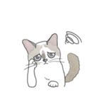 ねこのぷーちゃん スタンプ（個別スタンプ：38）