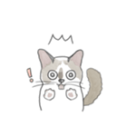 ねこのぷーちゃん スタンプ（個別スタンプ：39）