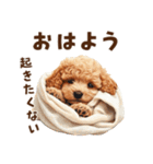 トイプードルのネガティブ気分スタンプ（個別スタンプ：1）