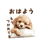 トイプードルのネガティブ気分スタンプ（個別スタンプ：2）