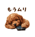 トイプードルのネガティブ気分スタンプ（個別スタンプ：5）