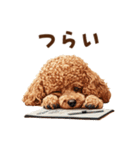 トイプードルのネガティブ気分スタンプ（個別スタンプ：9）