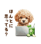 トイプードルのネガティブ気分スタンプ（個別スタンプ：16）